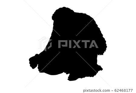 Animal silhouette zoo orangutan 1 Animal silhouette zoo orangutan 1 62468177