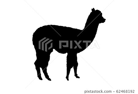 Animal silhouette zoo alpaca 3 62468192