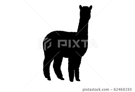 動物剪影動物園羊駝4 62468193