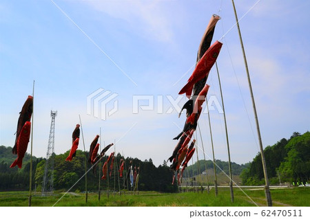 A carp streamer swimming in the sky A carp streamer swimming in the sky 62470511