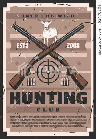 Deer animal, hunter guns, hunting ammo and target 62470803