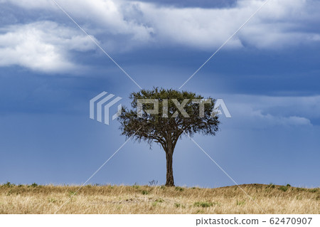 Africa in the rainy season Africa in the rainy season 62470907