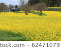 Azumi vegetable flower garden 62471079