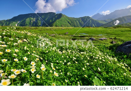 Summer scenery Northern Alps Tateyama 62471214