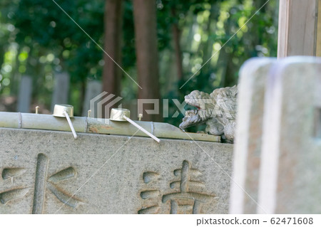 日本神社手水 62471608