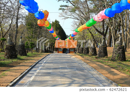 觀音寺,寺,冬宮,櫻花,吉野櫻花 觀音寺,寺,冬宮,櫻花,吉野櫻花 62472621
