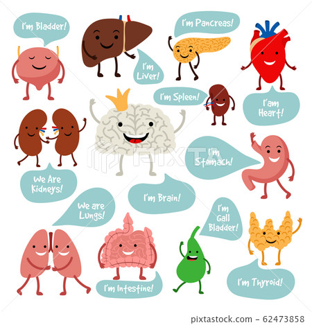 Cartoon anatomy organs with smiles - Stock Illustration [62473858] - PIXTA