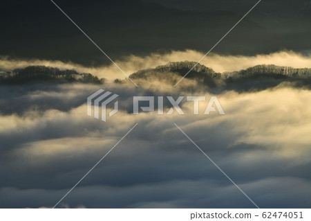 The sea of clouds and the trees at the top of the ridge from Hotosan to Nagatoro in the morning glow The sea of clouds and the trees at the top of the ridge from Hotosan to Nagatoro in the morning glow 62474051