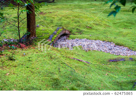 Nomiya Shrine Nomiya Shrine 62475865