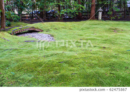 Nomiya Shrine 62475867