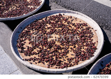 Coffee Coffee Beans Raw Natural Natural coffee beans コ ー ヒ ー 豆 62478399