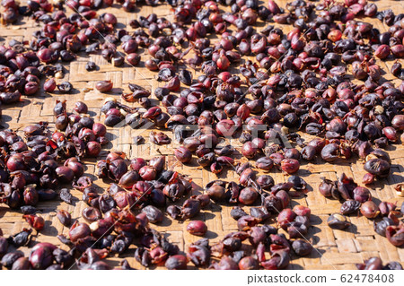 Coffee Coffee Beans Raw Natural Natural coffee beans コ ー ヒ ー 豆 62478408