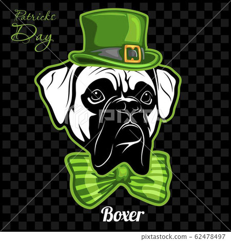 Head of a Boxer Dog and elements of St. Patricks Day. Vector illustration isolated on dark 62478497