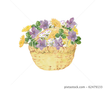 春天花籃 春天花籃 62479133