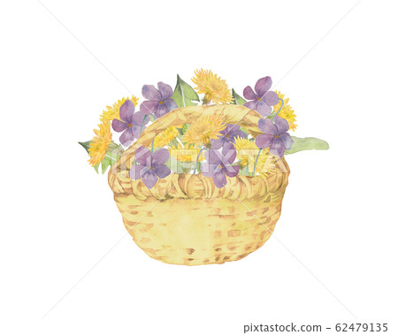 紫羅蘭和蒲公英花籃 紫羅蘭和蒲公英花籃 62479135
