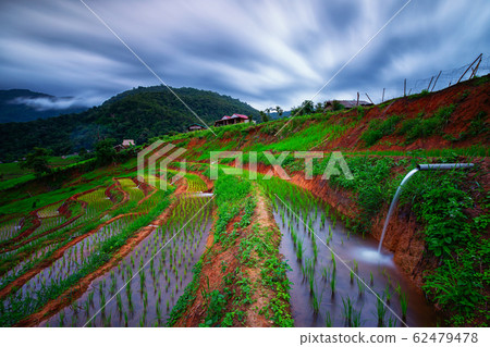 Viewpoint,Terraced rice field in Pa Pong Pieng,Mae Chaem,Chiang Mai,Thailand 62479478