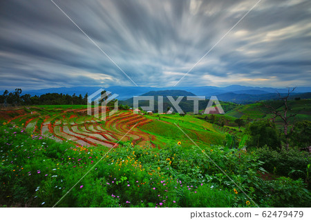 Viewpoint,Sunset,Terraced rice field in Pa Pong Pieng,Mae Chaem,Chiang Mai,Thailand 62479479