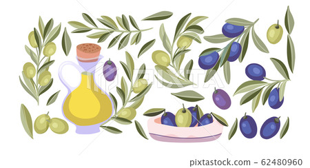 Olive plant isolated vector set. Olive plant isolated vector set. 62480960