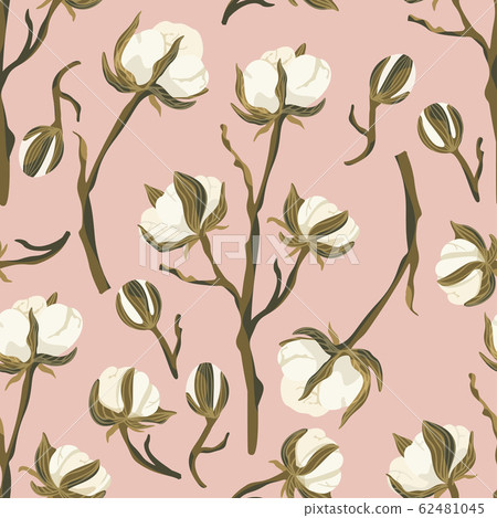 Cotton flower vector seamless pattern. Cotton flower vector seamless pattern. 62481045