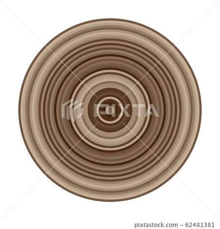 Concentric circle wood grain stump 62481381