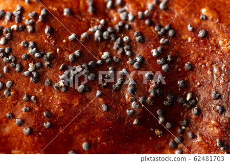 Poppy seeds in a bun as a background Poppy seeds in a bun as a background 62481703