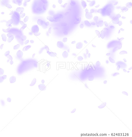 Violet flower petals falling down. Amazing romanti 62483126