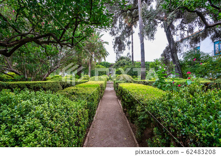 Courtyard garden of Viana Palace in Cordoba, Andalusia, Spain. 62483208