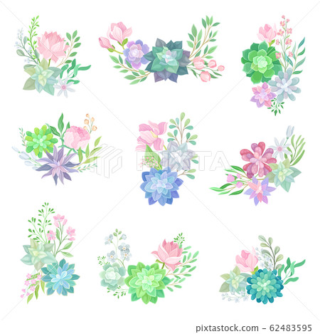 Succulent Echeveria Floral Arrangements Vector Set. Natural Cactus Bouquets Collection 62483595
