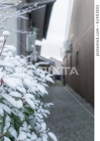景觀:雪後巷 景觀:雪後巷 62483602