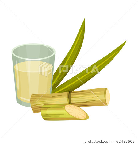 Sugar Cane Strong Unbranched Stems with Sugar Juice Poured in Glass Vector Illustration Sugar Cane Strong Unbranched Stems with Sugar Juice Poured in Glass Vector Illustration 62483603