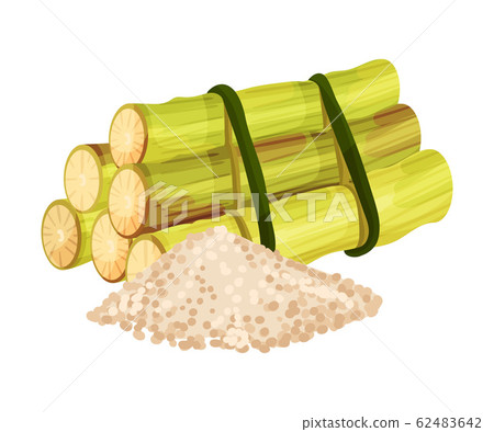 Sugar Cane Strong Unbranched Stems Cut and Corded with Pile of Refined Sugar Rested Nearby Vector Illustration Sugar Cane Strong Unbranched Stems Cut and Corded with Pile of Refined Sugar Rested Nearby Vector Illustration 62483642
