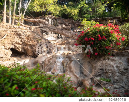 Beautiful african landscape of waterfall flwoing through mountain with growing flowers, trees and plants 62484056