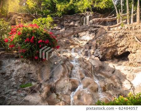 Beautiful image of small decorative waterfall flowing from mountain overgrown with flowers and plants 62484057