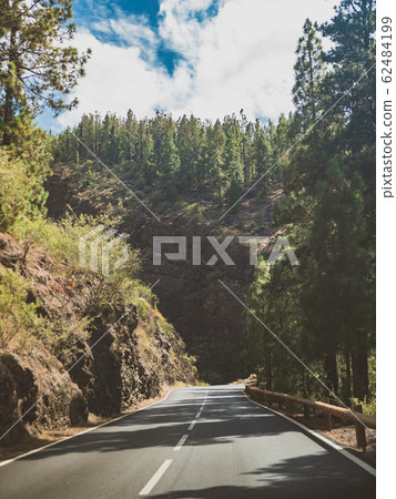 Toned image of narrow road going through old pine forest in mountains 62484199
