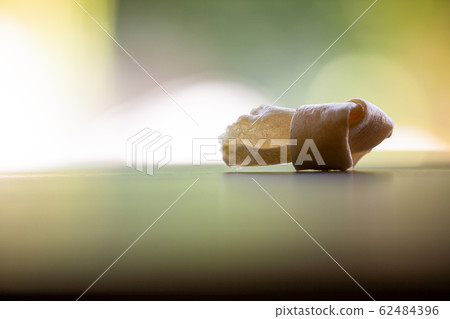 Dog bone, Ate Dog treats, Rawhide dog chews bitten on wooden table texture in bokeh green garden, Close up and Macro shot, Selective focus, Snack food dog concept 62484396