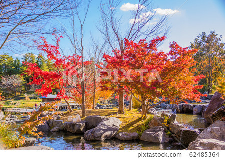 Autumn leaves and blue sky Keihanna Memorial Park Autumn leaves and blue sky Keihanna Memorial Park 62485364