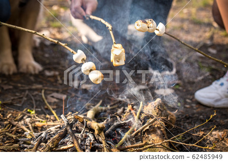 Roasted Marshmallow in Nature, close-up 62485949