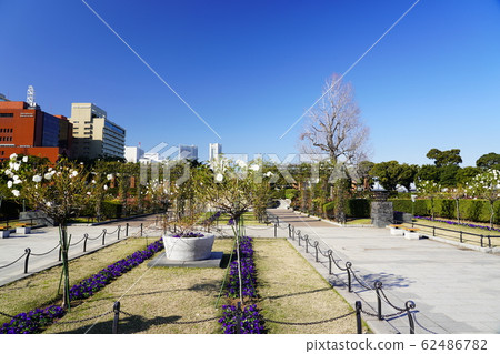 山下公園未來玫瑰園 山下公園未來玫瑰園 62486782