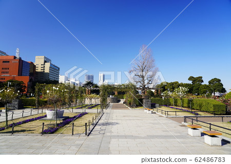 山下公園未來玫瑰園 山下公園未來玫瑰園 62486783