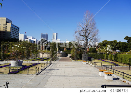山下公園未來玫瑰園 山下公園未來玫瑰園 62486784