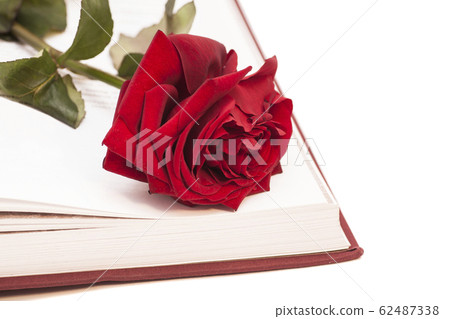 open book and red rose 62487338