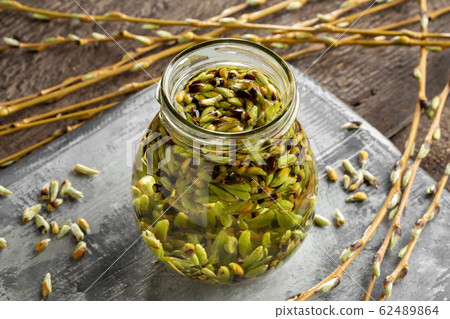 Preparation of a gemmotherapy tincture from white willow buds 62489864