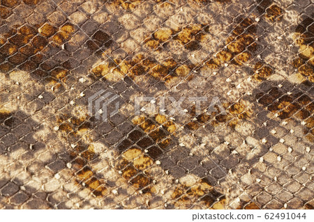 Scaly exotic reptile pattern, imitation, genuine leather close-up, surface of brown color, trendy background. 62491044