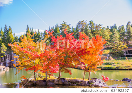 秋葉和藍天凱漢娜紀念公園 62492297