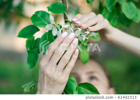 Pink spring manicure gel Polish on short nails. 62492313