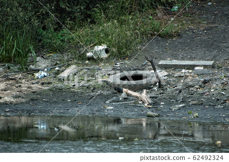 Garbage on the river Bank of the lake. Old tire. 62492324