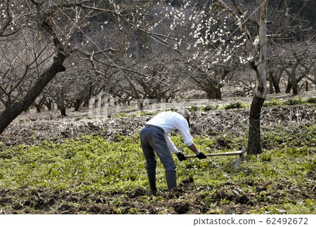 Farmer in early spring 62492672