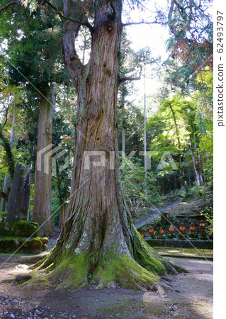 1077 Chichibu Kannon Sacred Ground No. 30 Bldg.Hounji Temple Hiyokuhiba 62493797