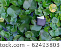 Man wallet on lotus leaf background 62493803