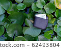 Man wallet on lotus leaf background 62493804